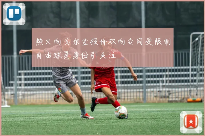 热火向戈尔金报价双向合同受限制自由球员身份引关注